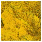 4 x 4 um aluminum-gold-1