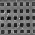 50 x 50 um grid-gray-1